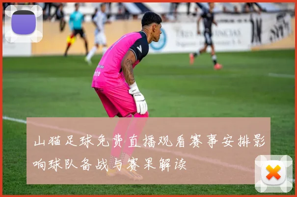 山猫足球免费直播观看赛事安排影响球队备战与赛果解读