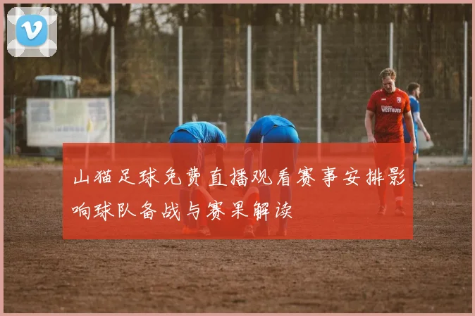 山猫足球免费直播观看赛事安排影响球队备战与赛果解读