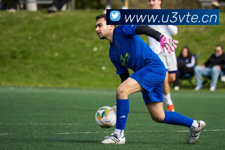 leyu网页平台生态图