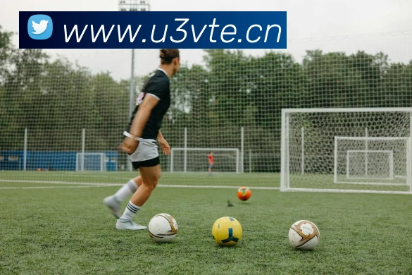 leyu网页APP 封面图